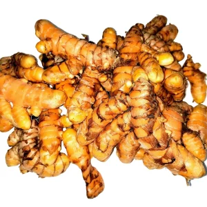 Organic Turmeric Rhizomes - Curcuma longa Roots for Planting & Culinary Use, 1-50 lbs - Image 6