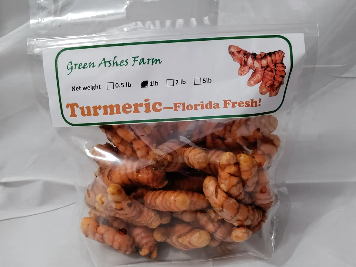 Organic Turmeric Rhizomes - Curcuma longa Roots for Planting & Culinary Use, 1-50 lbs - Image 7