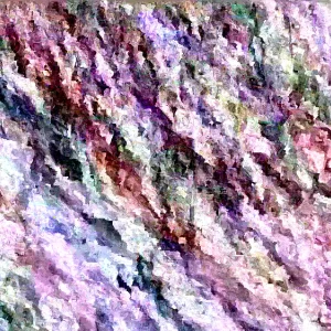 Palace Purple Coral Bells Heuchera Live Plant – 4+ Inches – Perennial Outdoor - Image 1