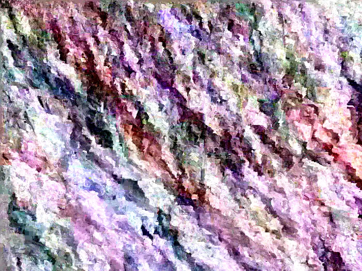 Palace Purple Coral Bells Heuchera Live Plant – 4+ Inches – Perennial Outdoor - Image 1