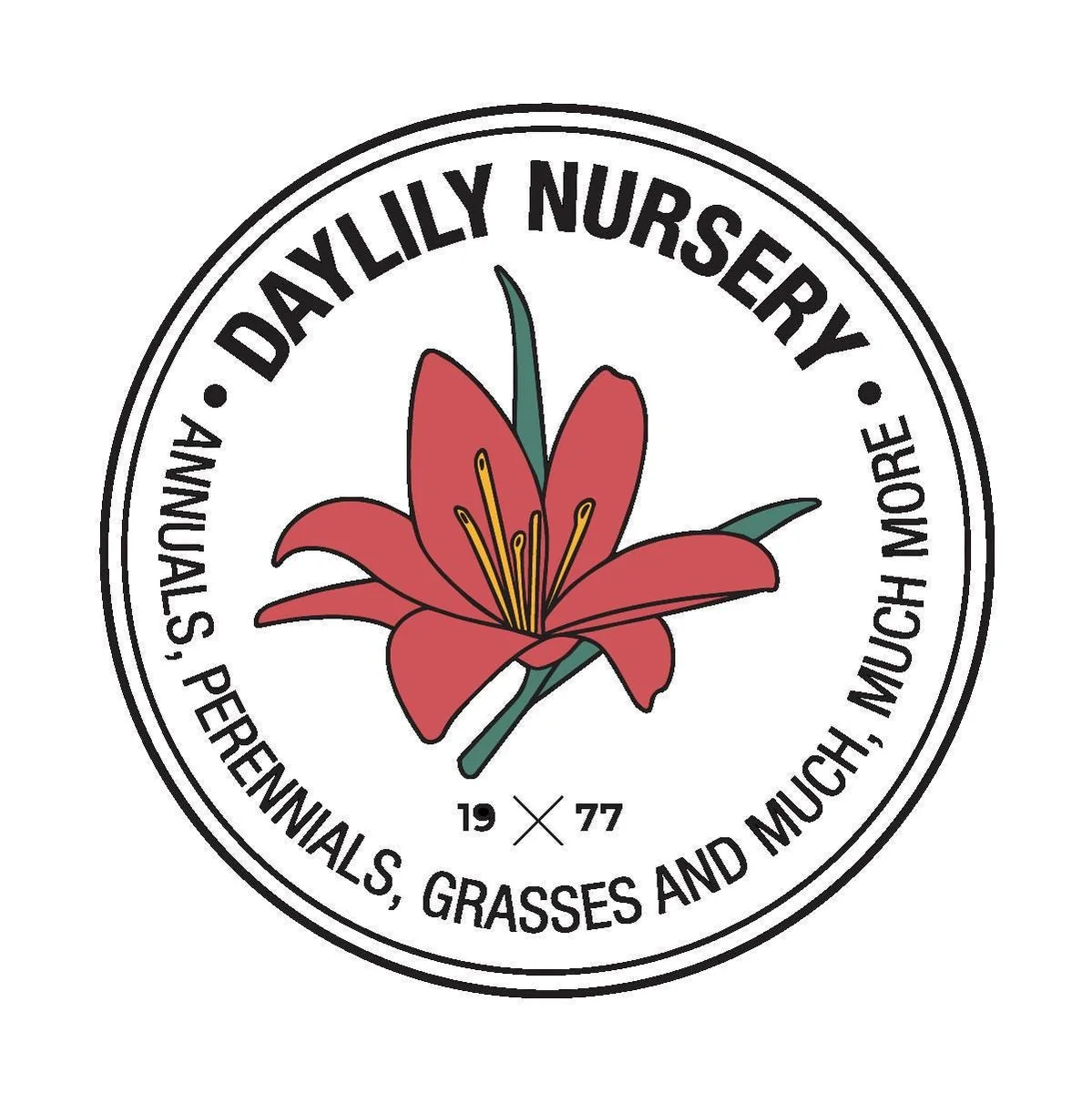 Parade Tulip Bulbs - Tulipa Triumph - Bulk Pack 40 lbs / 450 Bulbs - Red Flowers - Image 4