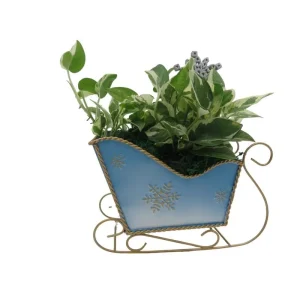 Pearls and Jade Pothos Live Plant – Blue Metal Sleigh Planter – 4" Pot – Indoor - Image 2