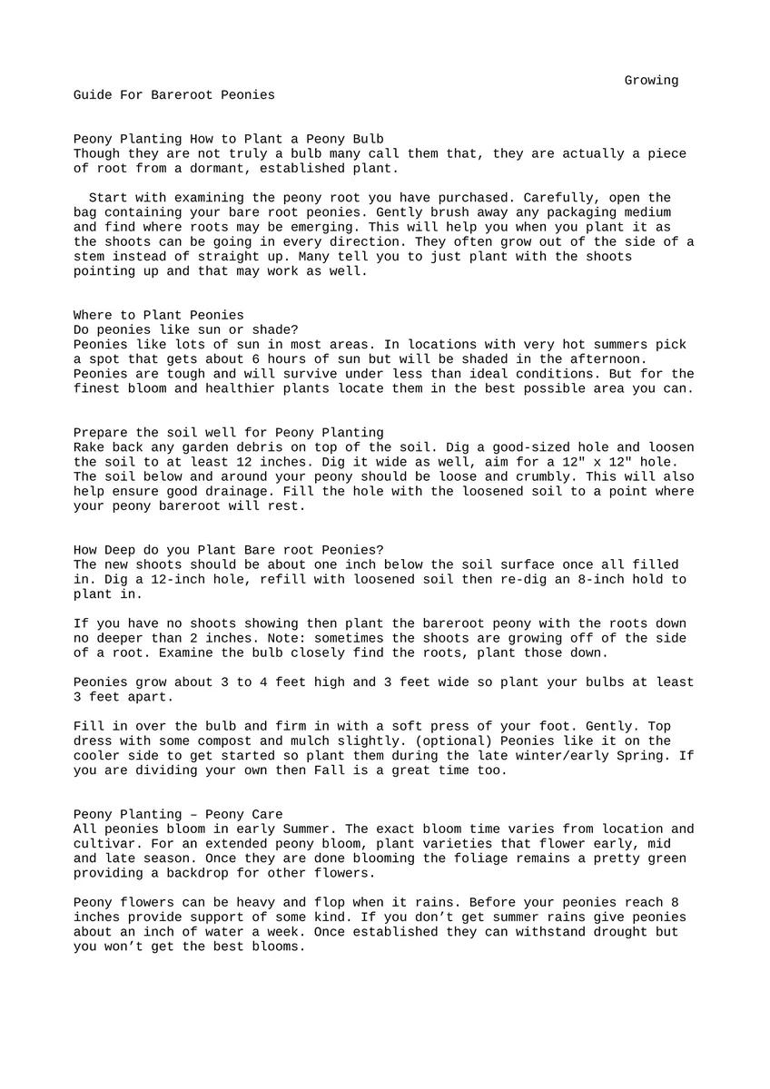 Peony 'Bowl of Beauty' Bareroot Paeonia lactiflora - Pink Yellow Flower - Image 3