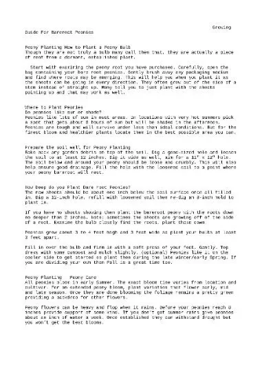 Peony Celebrity Live Plant - Paeonia lactiflora - Raspberry Pink & White Flowers - Zone 3-8 - Image 3