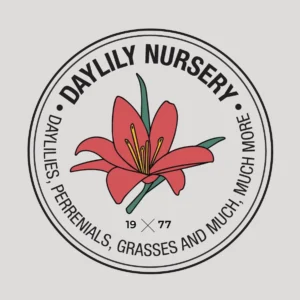 Picasso Waxed Amaryllis Bulb White with Pink & Red Splatter Size 32/34 - Image 3