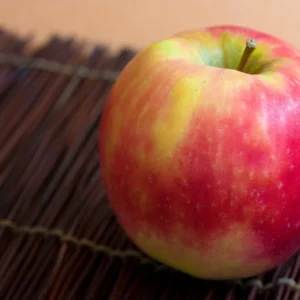 Pink Lady Apple Tree Bare Root Live Plant - 2-3 ft Tall Outdoor Fruit Tree - Image 2