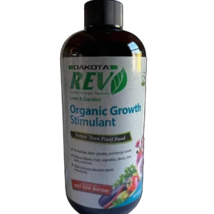 Pink Lady Apple Tree Bareroot Live Plant 2-3 ft Tall - Outdoor Fruit Tree - Image 3