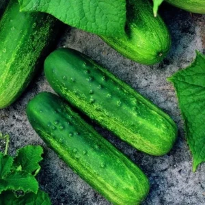 Pioneer F1 Cucumber Seeds - Non-GMO Heirloom Vegetable Seeds for Garden - Image 1