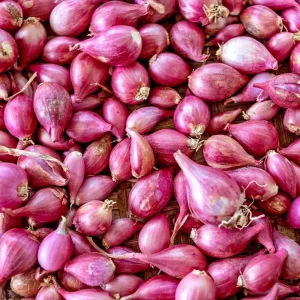 Premium Red Shallot Bulbs 16oz - Gourmet Flavor for Culinary Use - Outdoor - Image 1