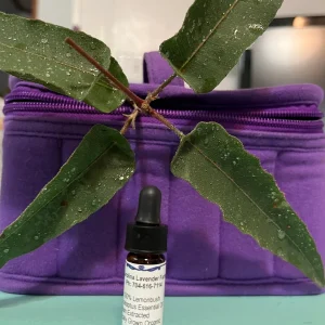 Pure Eucalyptus Essential Oil - Organic, Steam Distilled, 3.7ml & 14.7ml - Image 2