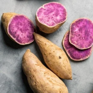 Purple Okinawa Sweet Potato Live Plant Slips – Set of 5 Rooted – Easy Grow Edible Vine - Image 2