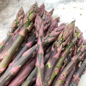 Purple Passion Asparagus Crowns - 75 Bare Root Plants - 2 Year - Zones 3-8 - Image 1