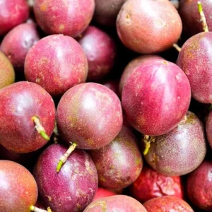 Purple Passionfruit Live Plant - Passiflora Edulis Vine, 4-6