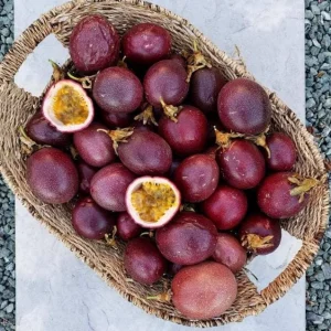 Purple Passionfruit Live Plant - Passiflora Edulis Vine, 4-6