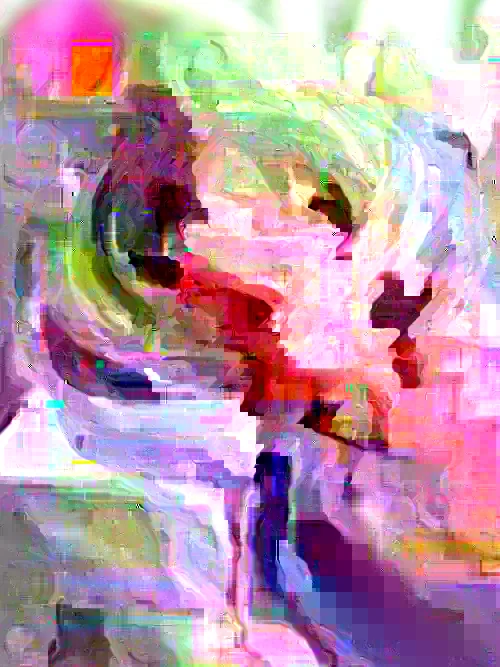 Purple Ranunculus Bulbs - 14 Corms for Garden & Wedding Flowers - Image 5