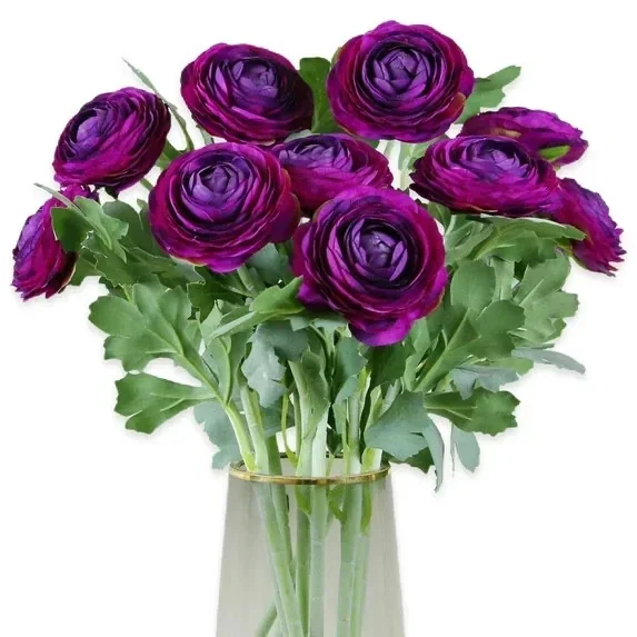 Purple Ranunculus Bulbs - 14 Corms for Garden & Wedding Flowers - Image 9