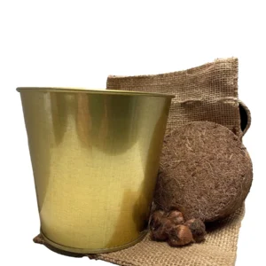 Purple Shamrock Growing Kit - 5 Oxalis Triangularis Bulbs, Gold Tin Pot, Growing Medium, Indoor/Outdoor - Image 4