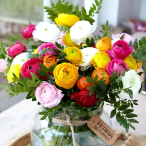 Ranunculus Flower Bulbs - 20 Mixed Corms for Garden & Wedding Flowers - Image 3