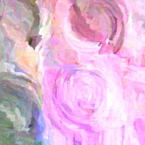 Ranunculus Flower Bulbs Mix - Red, Pink, Purple Petals - 30 Corms - Perennial - Image 4