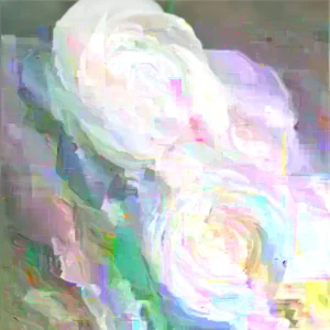 Ranunculus Flower Bulbs – Red Corms – 10 Count – Perennial Flowers - Image 3