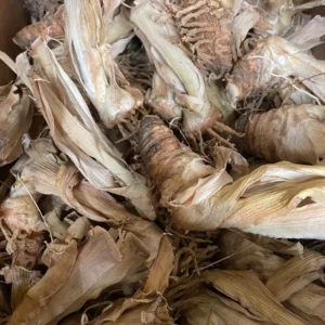 Reblooming Bearded Iris Bareroot - Lavender Flowers, Iris germanica, Outdoor Perennial - Image 5