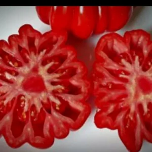 Red Beauty Lottringa Tomato Seeds - Organic Heirloom for Gourmet Sauce (25 Seeds) - Image 7