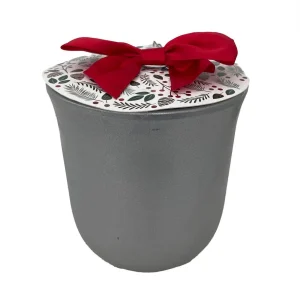 Red Lion Amaryllis Bulb Kit with Ceramic Vase & Growing Medium - Image 2