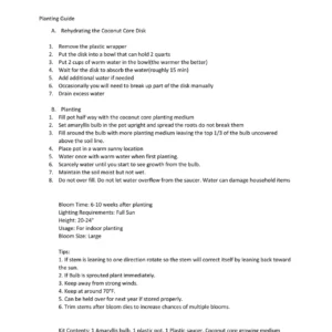 Red Lion Amaryllis Growing Kit - Large 26-28 Bulb, Ceramic Pot, Bag, Medium - Indoor - Image 4