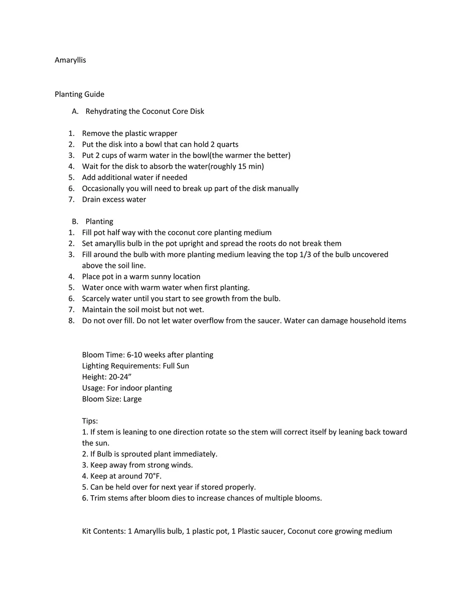 Red Lion Amaryllis Kit - Deep Red Indoor Blooming Bulb - 20-24 in Tall - Image 5