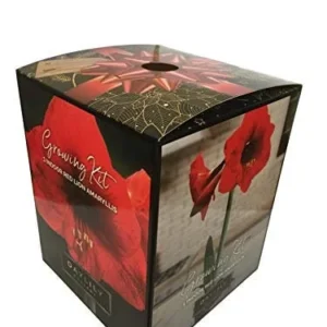 Red Lion Amaryllis Kit - Indoor Bulb - Deep Red Flowers - Image 1