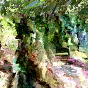 Red Mulberry Tree Cuttings - Set of 12 Unrooted Morus spp. Fast Growing - Image 1