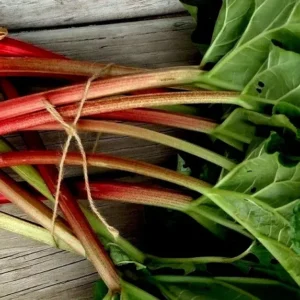 Rhubarb Seeds - 50 Fresh Heirloom Organic Red Perennial Vegetable Seeds for Garden - Image 5