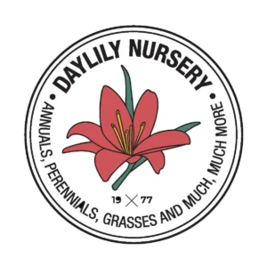 Rock Star Reblooming Bearded Iris Bareroot - Apricot Raspberry Plicata - Live Plant - Image 6