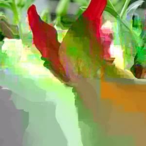 6 Asiatic Lily Flower Bulbs Mix - Perennial Butterfly Garden Plants - Image 3