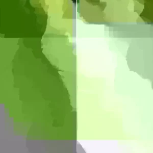 Yukon Gold True Potato Seeds - 50 Organic Yellow Mix Potato Seeds for Planting - Image 2