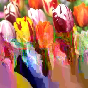 10 Rembrandt Tulip Bulbs Mixed Colors - Easy Grow Perennial Flowers - Image 5