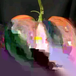 Brandywine Pink Heirloom Tomato Seeds - 25 Organic Seeds for Large Tomatoes - Image 5