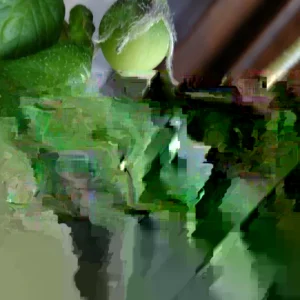 Organic True Potato Seeds - 50 Count Purple, Red, Yellow Color Mix - Vegetable Seeds - Image 3