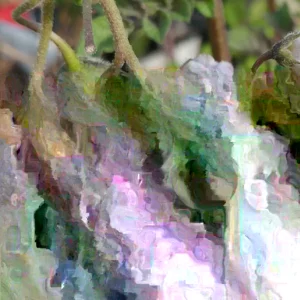 Yukon Gold True Potato Seeds - 40 Organic Seeds, Yellow Mix, Annual - Image 1