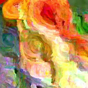 Ranunculus Flower Bulbs - 16 Orange Picotee Corms for Garden & Wedding - Image 4