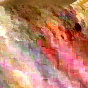 Hickory King Heirloom Corn Seeds - 300 Huge Kernel Yellow Organic Zea Mays - Image 1