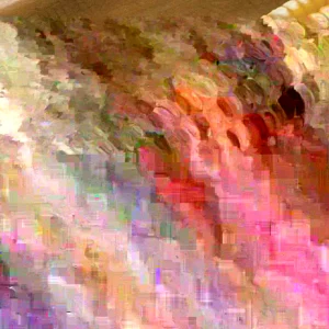 Hickory King Heirloom Corn Seeds - 300 Huge Kernel Yellow Organic Zea Mays - Image 2