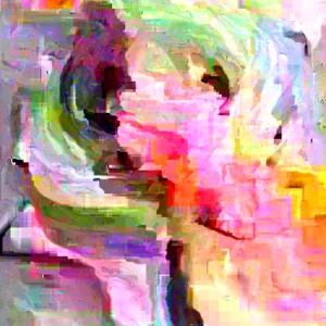 Purple Ranunculus Bulbs - 14 Corms for Garden & Wedding Flowers - Image 2