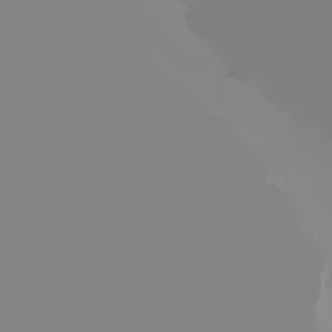 300 Oaxacan Green Corn Seeds - Historic Heirloom Three Sisters American Indian - Image 3