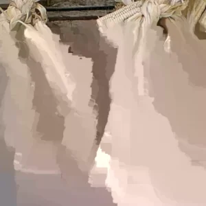 Hickory King White Dent Corn Seeds - 1/2 lb Organic Heirloom Non-GMO Tortilla Flour - Image 3