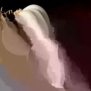 6 Double Daffodil Flower Bulbs Butterfly Mix - Narcissus Perennial Flowers - Image 4