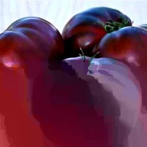 Brandywine Heirloom Tomato Seeds Organic - Black, Red, Orange, Pink - 25 Seeds - Image 1