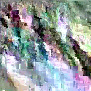 Mango Live Plant - Tropical Fruit Tree Seedling 6-9