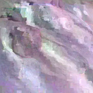 Organic Red Cassava Yuca Cuttings - Manihot Esculenta - 5 Live Cuttings - Sub-Tropical & Tropical - Image 1