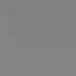 5 Mango Xoai Tuong Elephant Cuttings Scions for Grafting - Create Fruit Trees Outdoor - Image 2